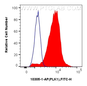 FC experiment of Ramos using 10305-1-AP