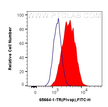 FC experiment of bEnd.3 using 65664-1-TR (same clone as 65664-1-PBS)