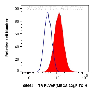 FC experiment of bEnd.3 using 65664-1-TR FC experiment of bEnd.3 using 65664-1-TR