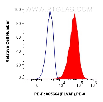 FC experiment of bEnd.3 using Biotin-FcA65664