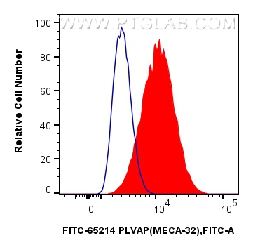 FC experiment of bEnd.3 using FITC-65214