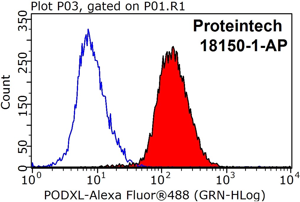 Podocalyxin