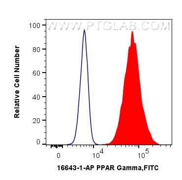 FC experiment of HeLa using 16643-1-AP