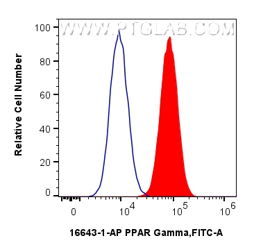 FC experiment of HeLa using 16643-1-AP