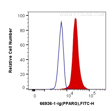 FC experiment of HeLa using 66936-1-Ig