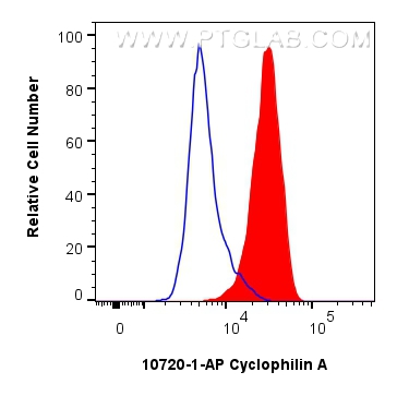 FC experiment of HeLa using 10720-1-AP
