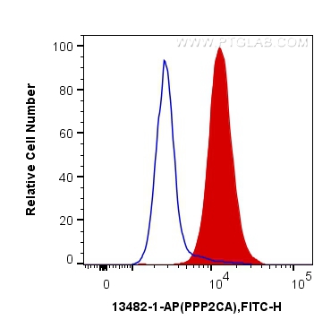 FC experiment of MCF-7 using 13482-1-AP