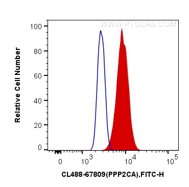 FC experiment of MCF-7 using CL488-67809