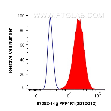 FC experiment of HeLa using 67392-1-Ig (same clone as 67392-1-PBS)