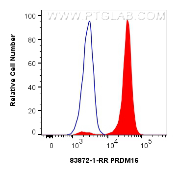 FC experiment of K-562 using 83872-1-RR FC experiment of K-562 using 83872-1-RR