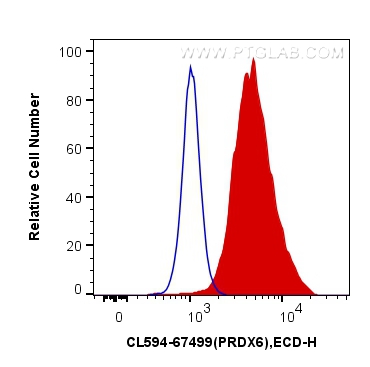 FC experiment of HeLa using CL594-67499