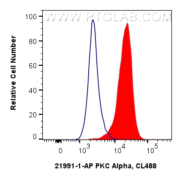 FC experiment of HeLa using 21991-1-AP