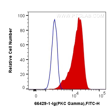 FC experiment of SH-SY5Y using 66429-1-Ig (same clone as 66429-1-PBS)