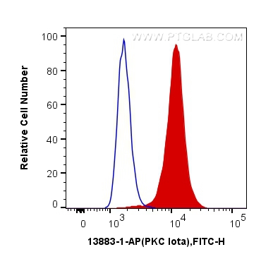 FC experiment of HeLa using 13883-1-AP