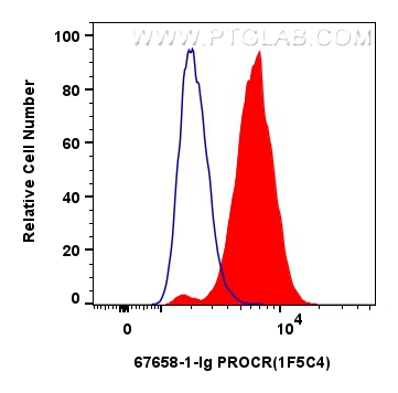 FC experiment of A549 using 67658-1-Ig