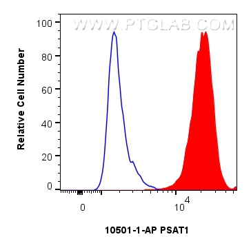 FC experiment of HepG2 using 10501-1-AP