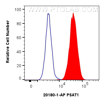 1x10^6 HeLa cells were intracellularly stained with 0.25 ug PSAT1 Polyclonal antibody (20180-1-AP) and CoraLite®488-Conjugated Goat Anti-Rabbit IgG(H+L) (<a class='green' href='/productredirect?CatalogNo=SA00013-2' target='_blank'>SA00013-2</a>)(red), or 0.25 ug Isotype Control (blue). Cells were fixed and permeabilized with Intracellular Flow Cytometry Fixation & Permeabilization Buffer Kit (<a class='green' href='/productredirect?CatalogNo=PF00019' target='_blank'>PF00019</a>). FC experiment of HeLa using 20180-1-AP