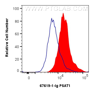 FC experiment of HeLa using 67619-1-Ig