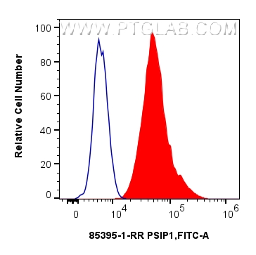 FC experiment of HeLa using 85395-1-RR (same clone as 85395-1-PBS)