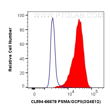 PSMA/GCPII