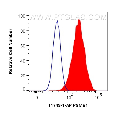 FC experiment of HeLa using 11749-1-AP