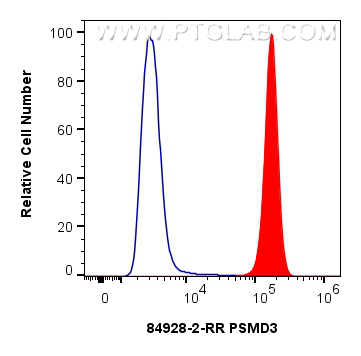 FC experiment of A549 using 84928-2-RR (same clone as 84928-2-PBS)
