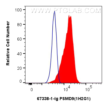 FC experiment of HeLa using 67338-1-Ig