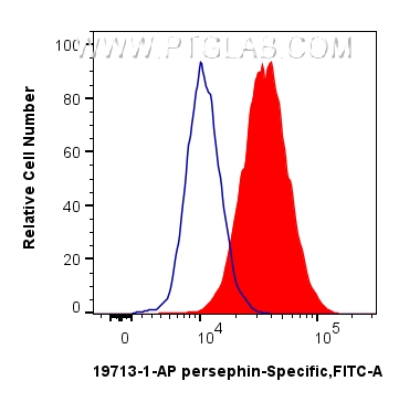 1x10^6 HepG2 cells were intracellularly stained with 0.25 ug persephin-Specific Polyclonal antibody (19713-1-AP) and CoraLite®488-Conjugated Goat Anti-Rabbit IgG(H+L) (<a class='green' href='/productredirect?CatalogNo=SA00013-2' target='_blank'>SA00013-2</a>)(red), or 0.25 ug Isotype Control (blue). Cells were fixed with 4% PFA and permeabilized with Flow Cytometry Perm Buffer (<a class='green' href='/productredirect?CatalogNo=PF00017' target='_blank'>PF00017</a>). FC experiment of HepG2 using 19713-1-AP