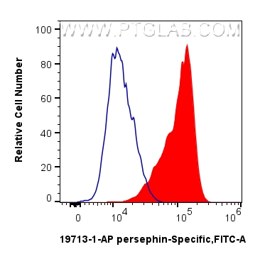 1x10^6 SH-SY5Y cells were intracellularly stained with 0.25 ug persephin-Specific Polyclonal antibody (19713-1-AP) and CoraLite®488-Conjugated Goat Anti-Rabbit IgG(H+L) (<a class='green' href='/productredirect?CatalogNo=SA00013-2' target='_blank'>SA00013-2</a>)(red), or 0.25 ug Isotype Control (blue). Cells were fixed with 4% PFA and permeabilized with Flow Cytometry Perm Buffer (<a class='green' href='/productredirect?CatalogNo=PF00017' target='_blank'>PF00017</a>). FC experiment of SH-SY5Y using 19713-1-AP