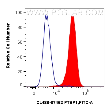 FC experiment of HeLa using CL488-67462 FC experiment of HeLa using CL488-67462