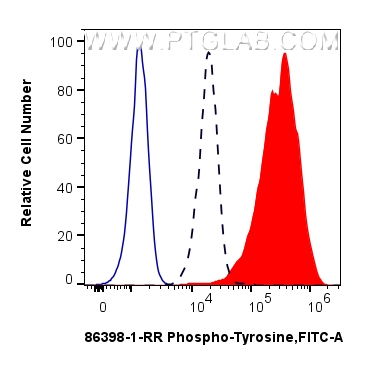 FC experiment of A431 using 86398-1-RR
