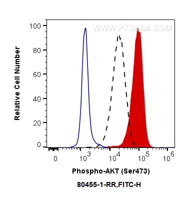 FC experiment of HEK-293 using 80455-1-RR (same clone as 80455-1-PBS)