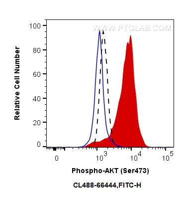 Phospho-AKT (Ser473)