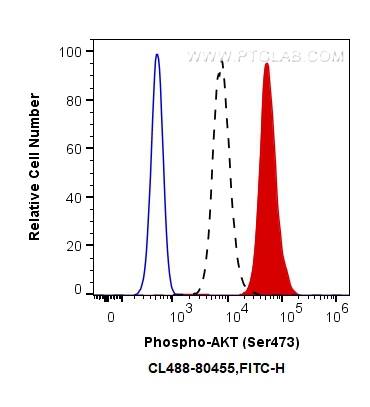 FC experiment of HEK-293 using CL488-80455
