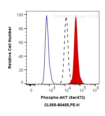 FC experiment of HEK-293 using CL555-80455