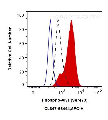 Phospho-AKT (Ser473)