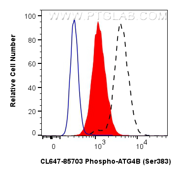 FC experiment of K-562 using CL647-85703