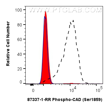 FC experiment of HeLa using 87337-1-RR (same clone as 87337-1-PBS) FC experiment of HeLa using 87337-1-RR (same clone as 87337-1-PBS)
