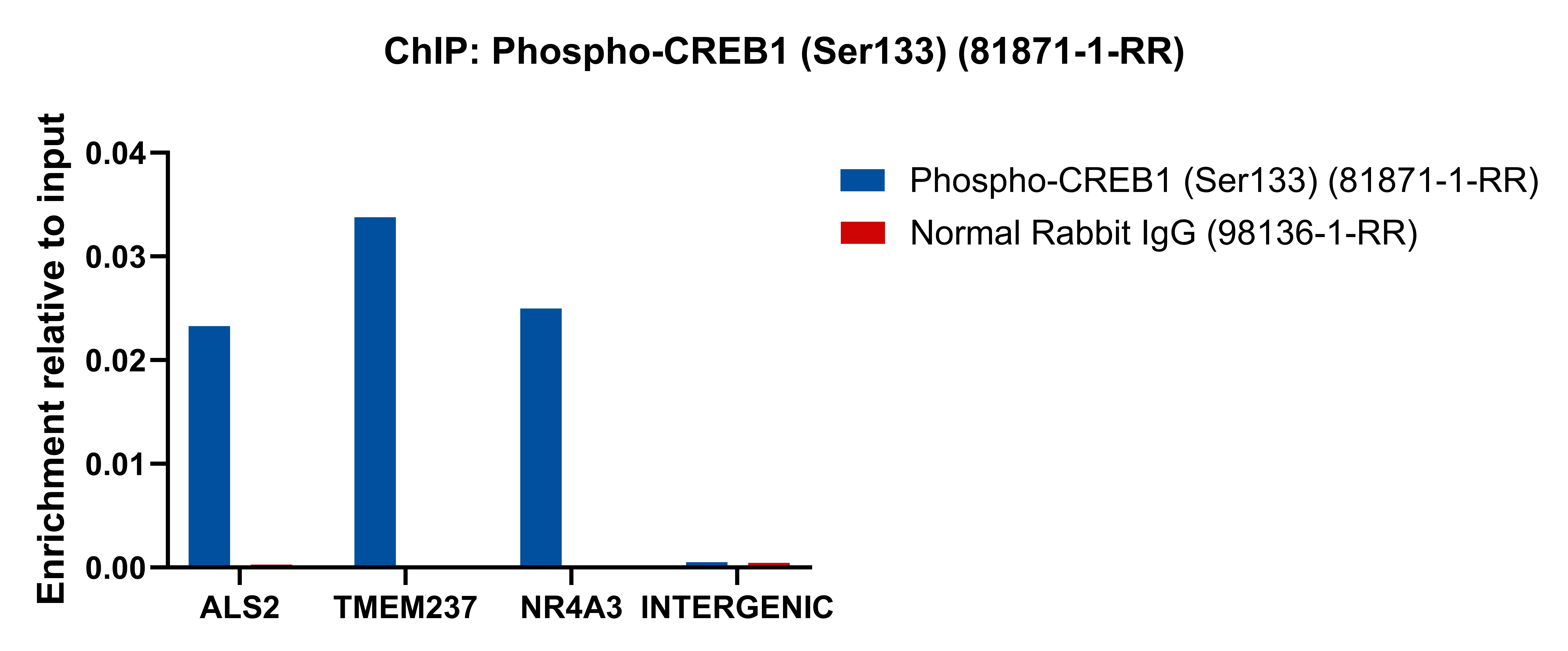 ChIP experiment of HEK-293 using 81871-1-RR