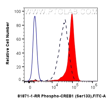 FC experiment of HEK-293 using 81871-1-RR