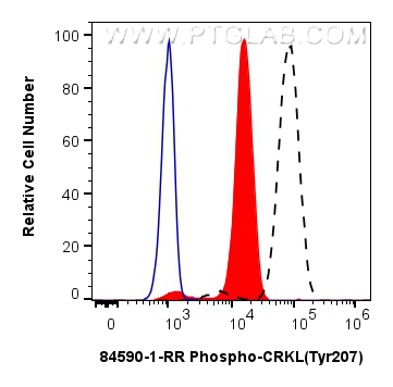 FC experiment of K-562 using 84590-1-RR