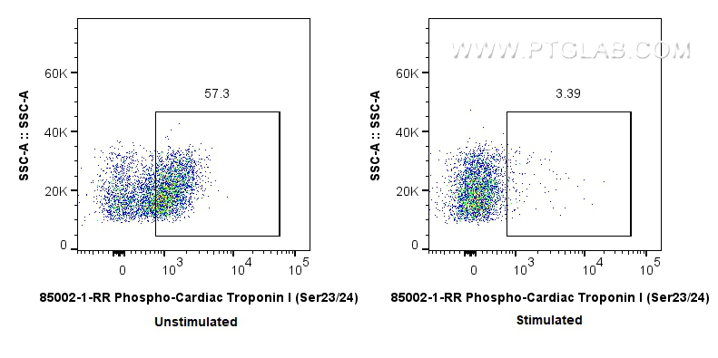 FC experiment of mouse heart using 85002-1-RR FC experiment of mouse heart using 85002-1-RR