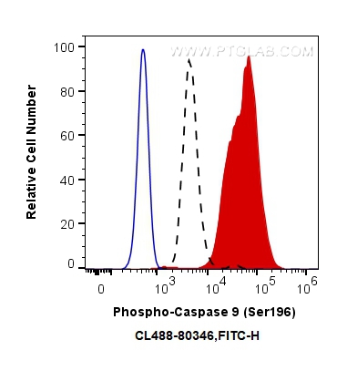 FC experiment of HEK-293 using CL488-80346