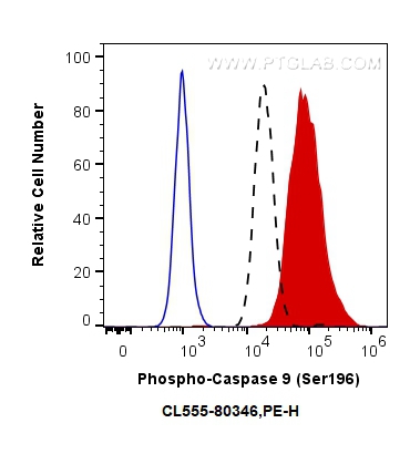 FC experiment of Hela using CL555-80346