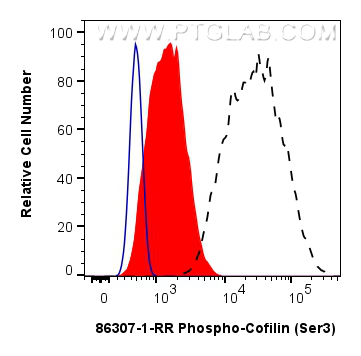 FC experiment of HeLa using 86307-1-RR