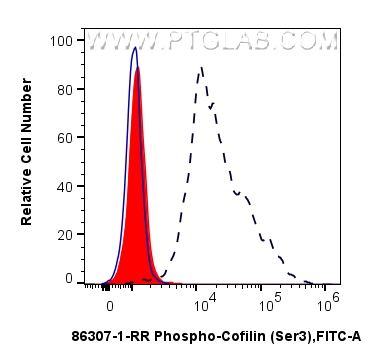 FC experiment of NIH/3T3 using 86307-1-RR FC experiment of NIH/3T3 using 86307-1-RR
