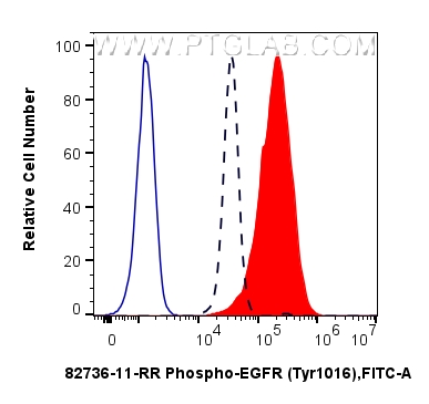 FC experiment of A431 using 82736-11-RR