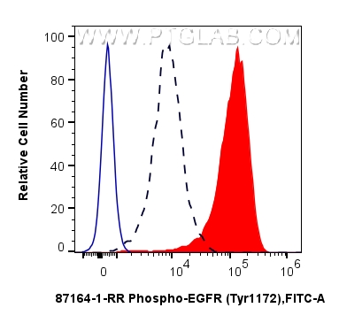 FC experiment of A431 using 87164-1-RR FC experiment of A431 using 87164-1-RR