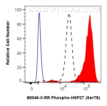 FC experiment of HeLa using 80046-3-RR FC experiment of HeLa using 80046-3-RR
