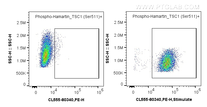 FC experiment of HeLa using CL555-80340